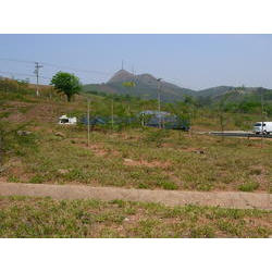 DSCN2523.JPG