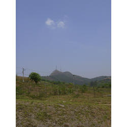 DSCN2524.jpg