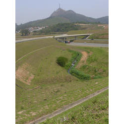 DSCN2529.jpg