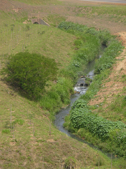 DSCN2531.jpg