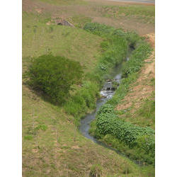 DSCN2531.jpg