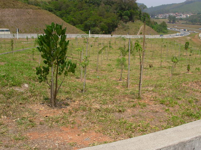 DSCN2532.JPG