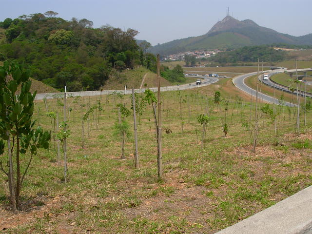 DSCN2533.JPG