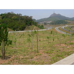 DSCN2533.JPG