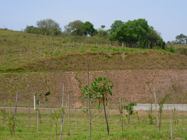 DSCN2534.JPG