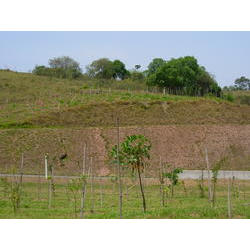 DSCN2534.JPG