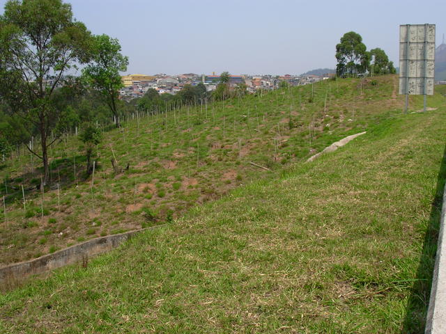 DSCN2535.JPG