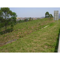 DSCN2535.JPG