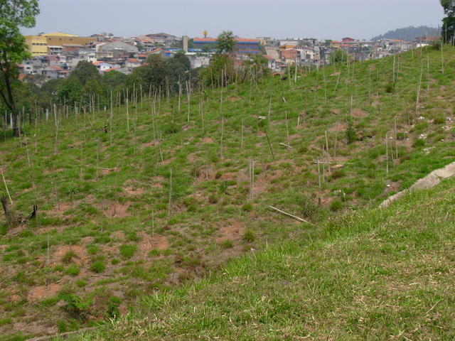 DSCN2536.JPG