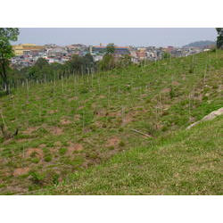 DSCN2536.JPG