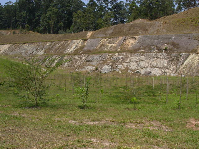 DSCN2537.JPG