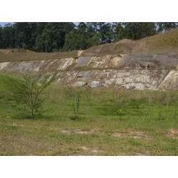 DSCN2537.JPG