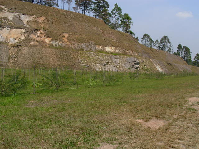 DSCN2539.JPG