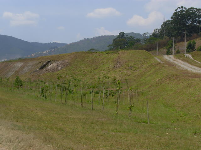 DSCN2541.JPG