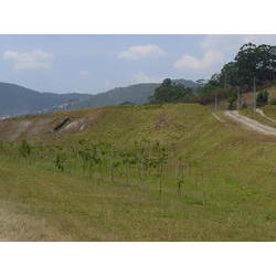 DSCN2541.JPG