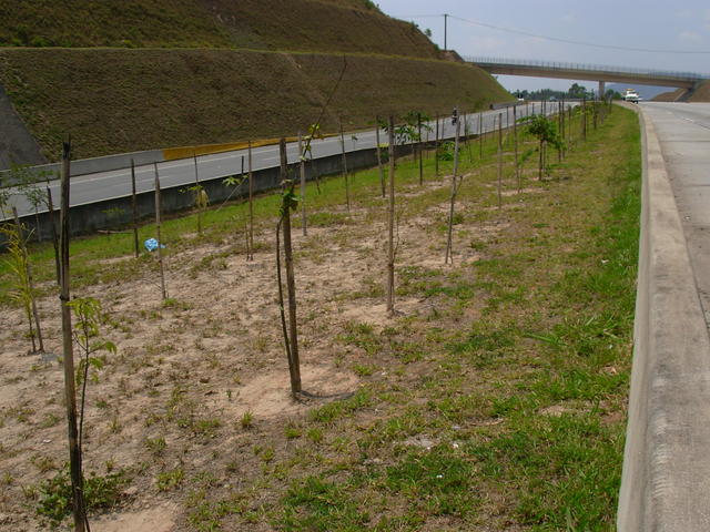 DSCN2547.JPG