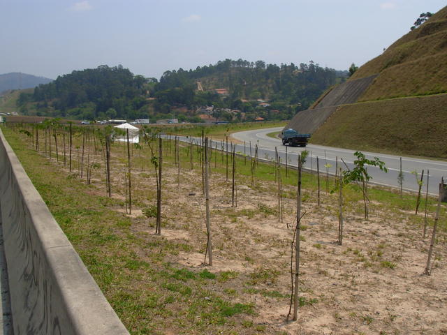 DSCN2549.JPG