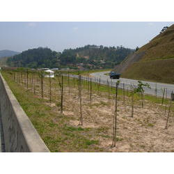DSCN2549.JPG