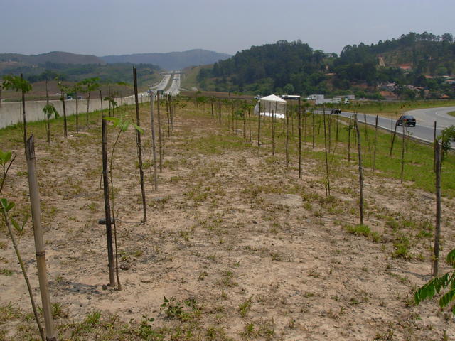 DSCN2550.JPG