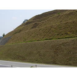 DSCN2551.JPG