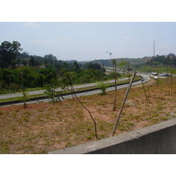 DSCN2552.JPG