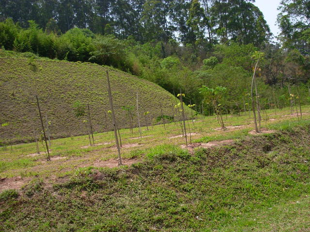 DSCN2553.JPG