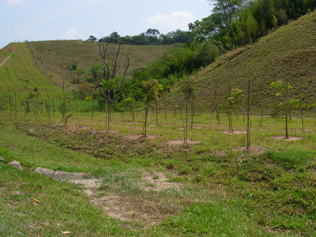 DSCN2554.JPG