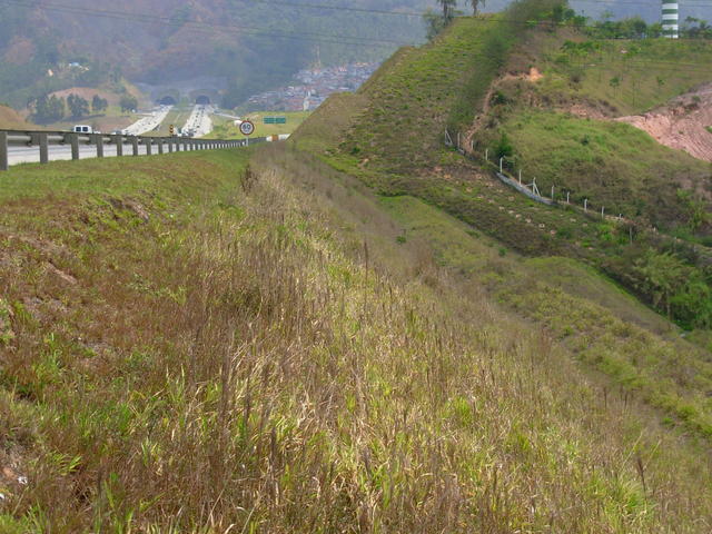 DSCN2564.JPG