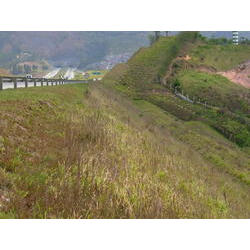 DSCN2564.JPG