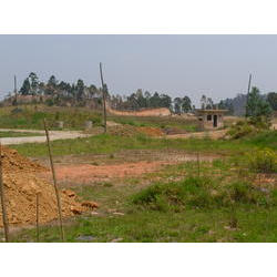 DSCN2572.JPG
