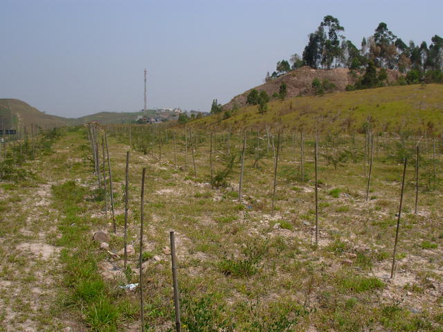 DSCN2574.JPG