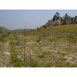 DSCN2574.JPG
