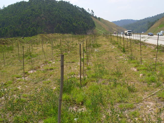 DSCN2575.JPG
