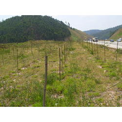 DSCN2575.JPG