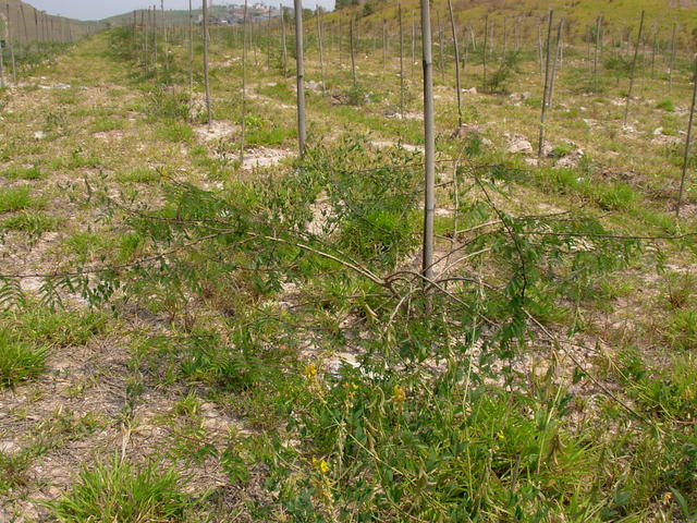 DSCN2576.JPG