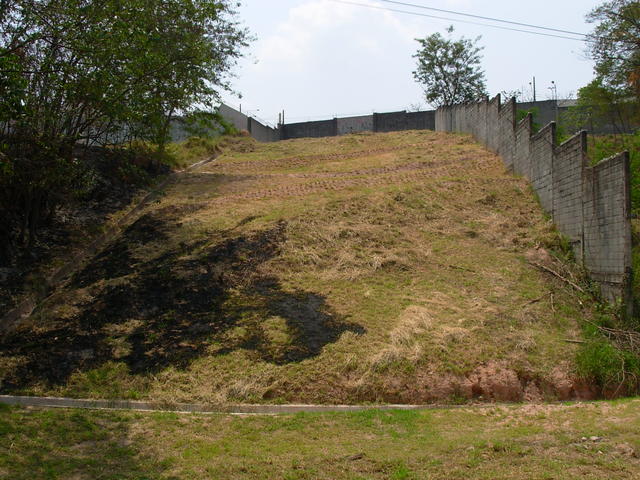 DSCN2584.JPG