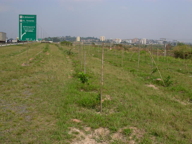 DSCN2585.JPG