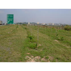 DSCN2585.JPG