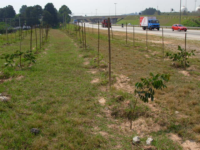 DSCN2586.JPG