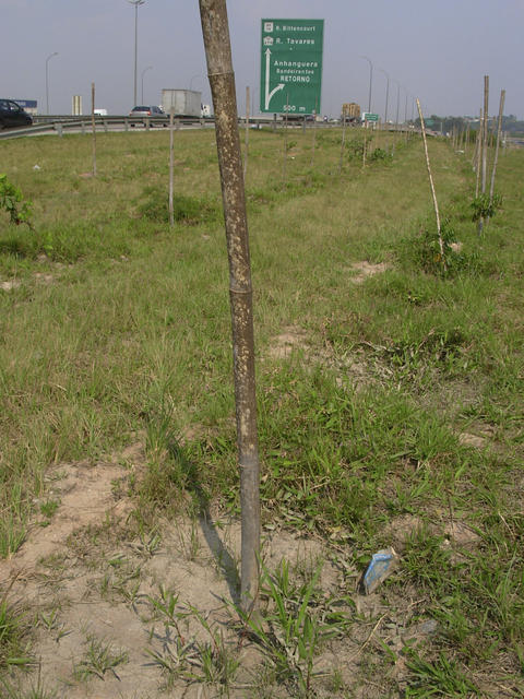 DSCN2587.jpg