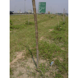 DSCN2587.jpg