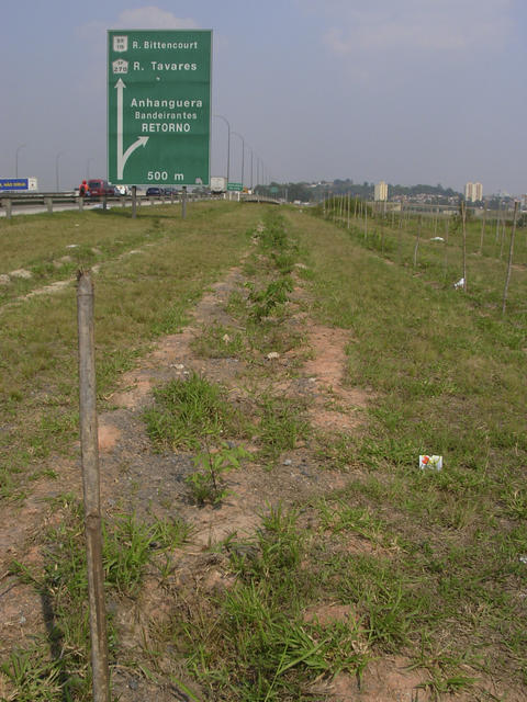 DSCN2589.jpg