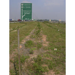 DSCN2589.jpg
