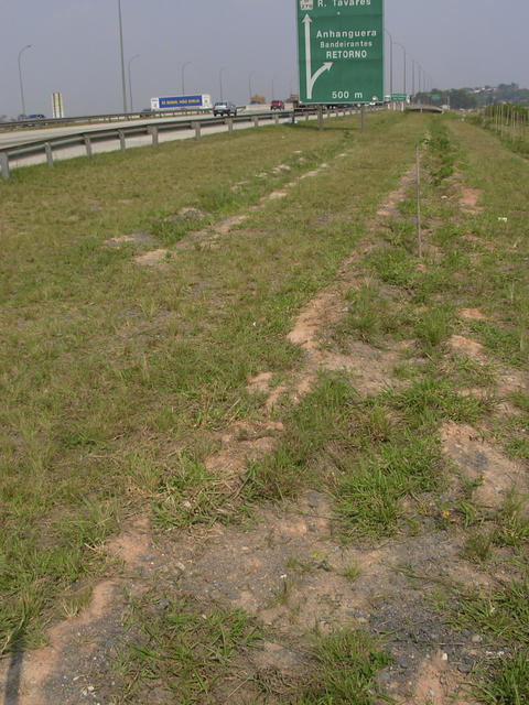 DSCN2590.jpg