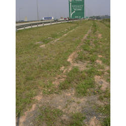 DSCN2590.jpg