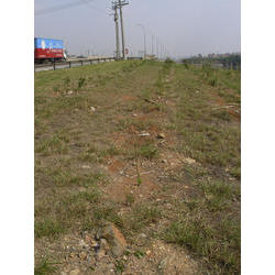 DSCN2595.jpg