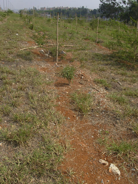 DSCN2596.jpg