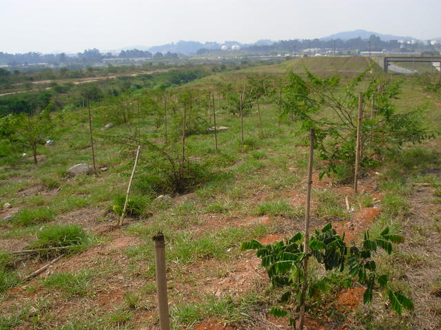 DSCN2597.JPG