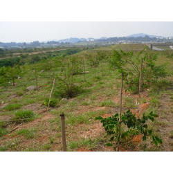 DSCN2597.JPG