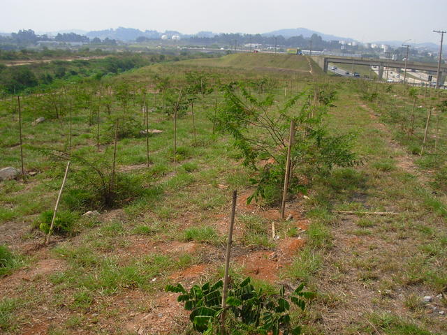 DSCN2598.JPG